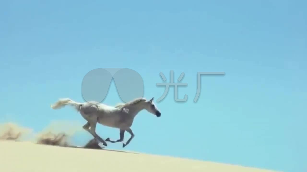 马奔跑万马奔腾马群白马双马