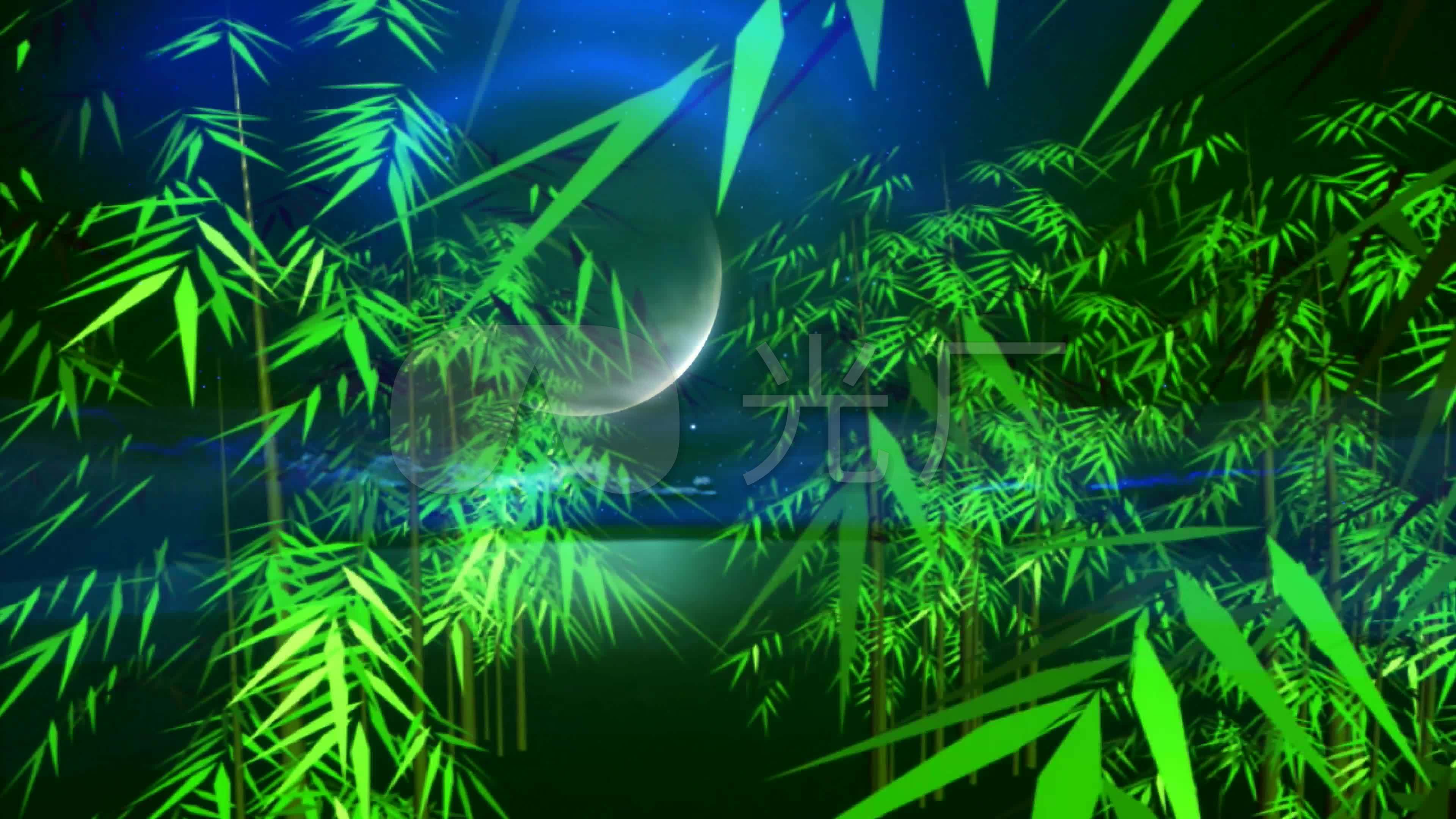 月光下的凤尾竹葫芦丝伴奏配乐成品背景4k