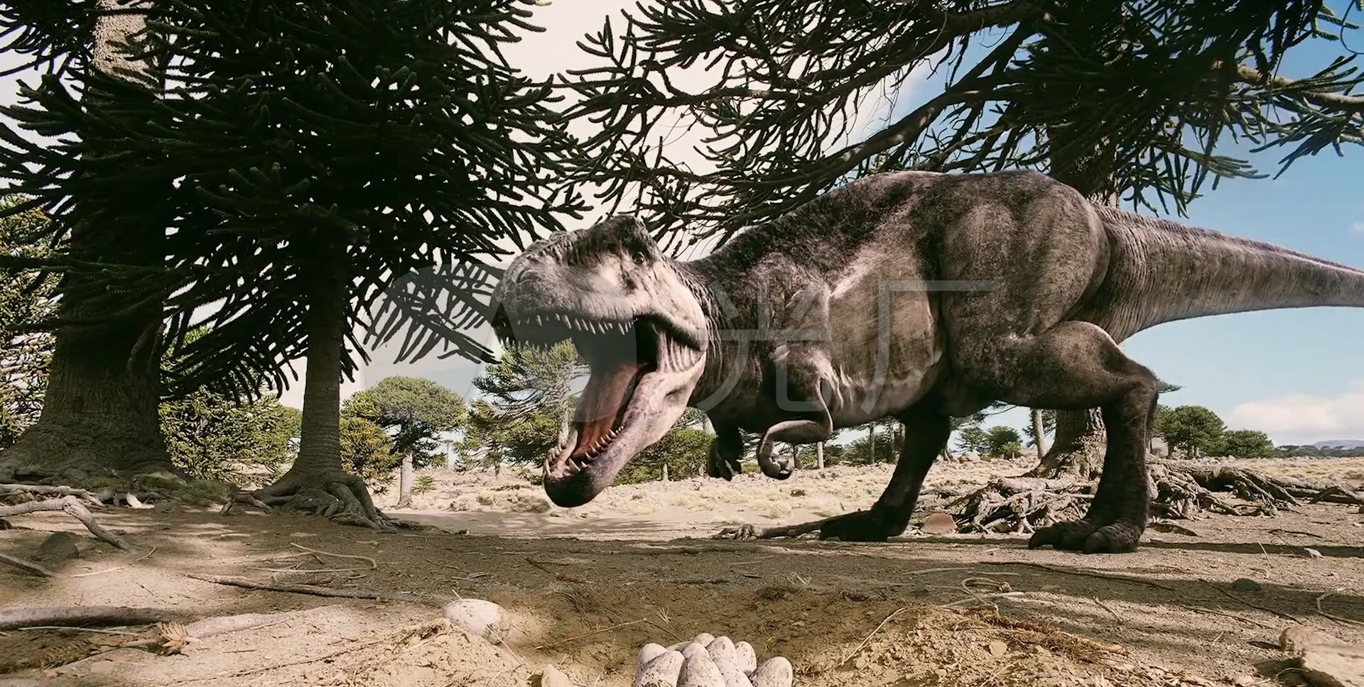 侏罗纪公园时期恐龙剑齿龙树木森林视频素材