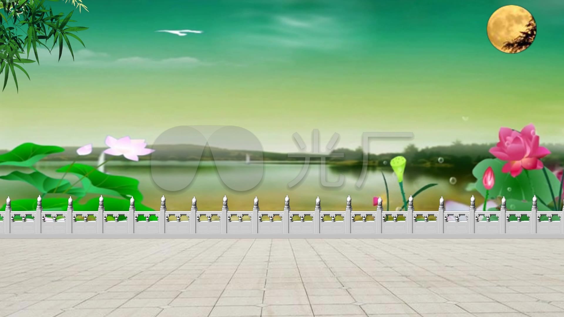 【广场舞视频背景】古典舞11--月下莲花_1920x1080