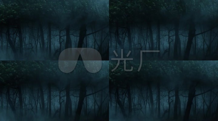 万圣节 迷雾鬼林 恐怖 森林