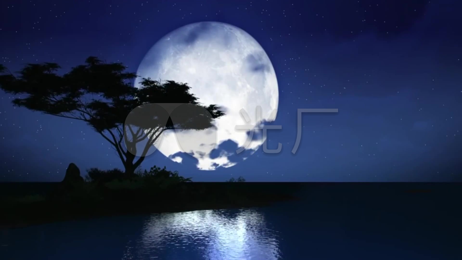 月夜的天空