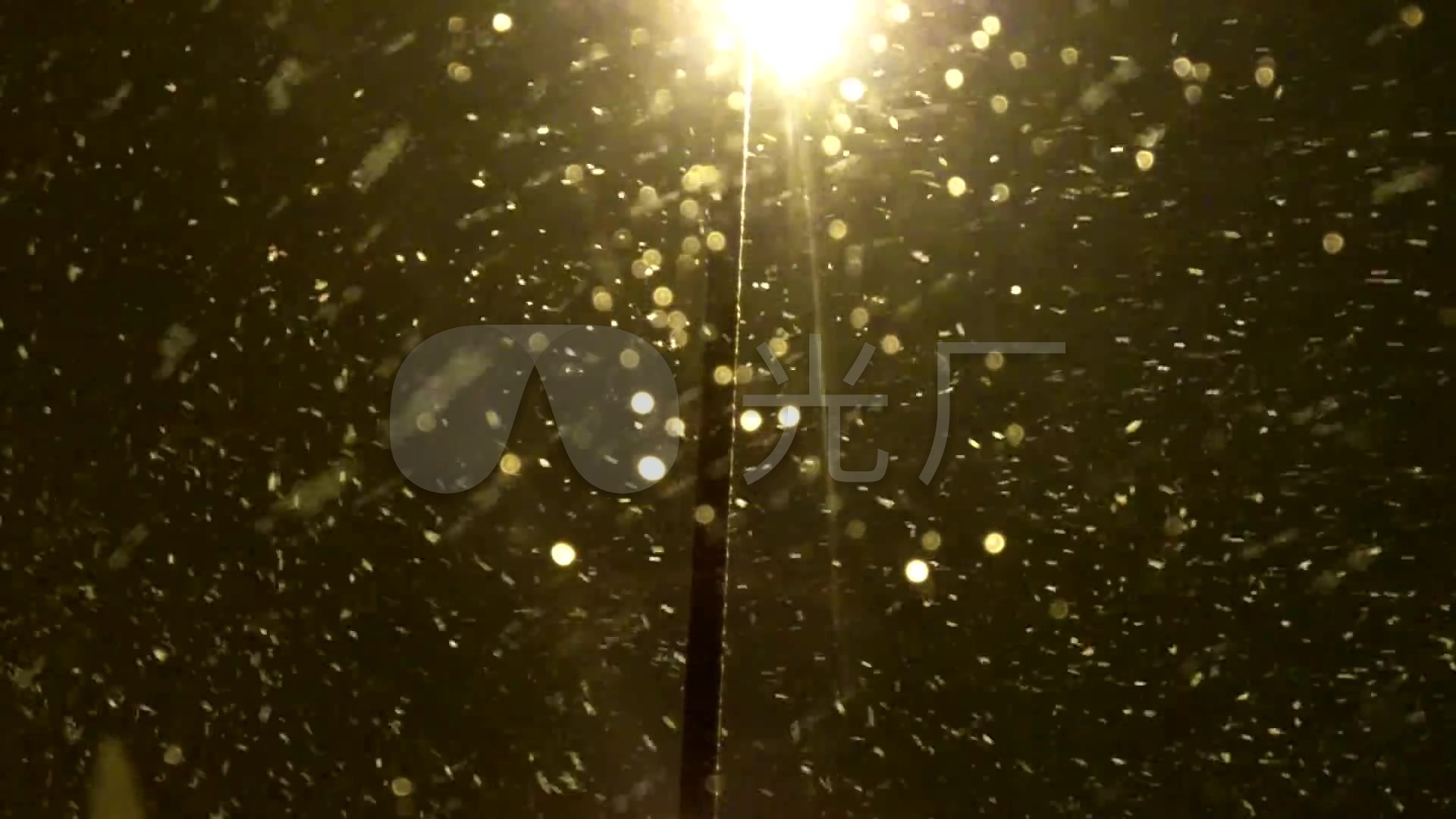 灯光大雪纷飞雪花飘落雪景冬天_1920x1080_高清视频