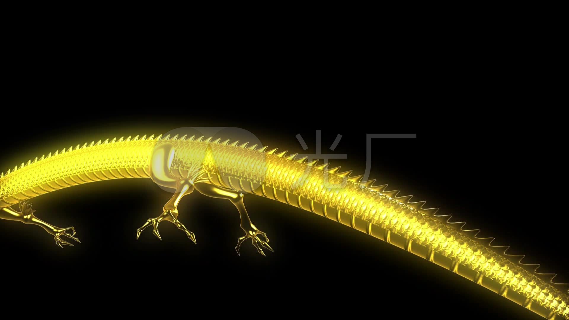 3d全息投影金龙飞舞_1920x1080_高清视频素材下载(编号:1447051)_影视