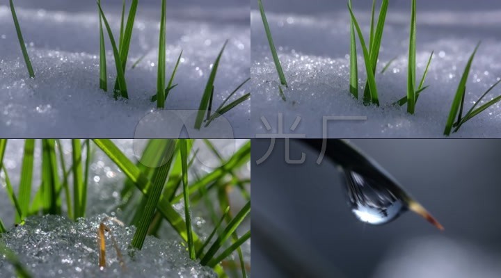 延时雪融化特写冰雪消融复苏万物复苏季节变化季节转换季节更替换季