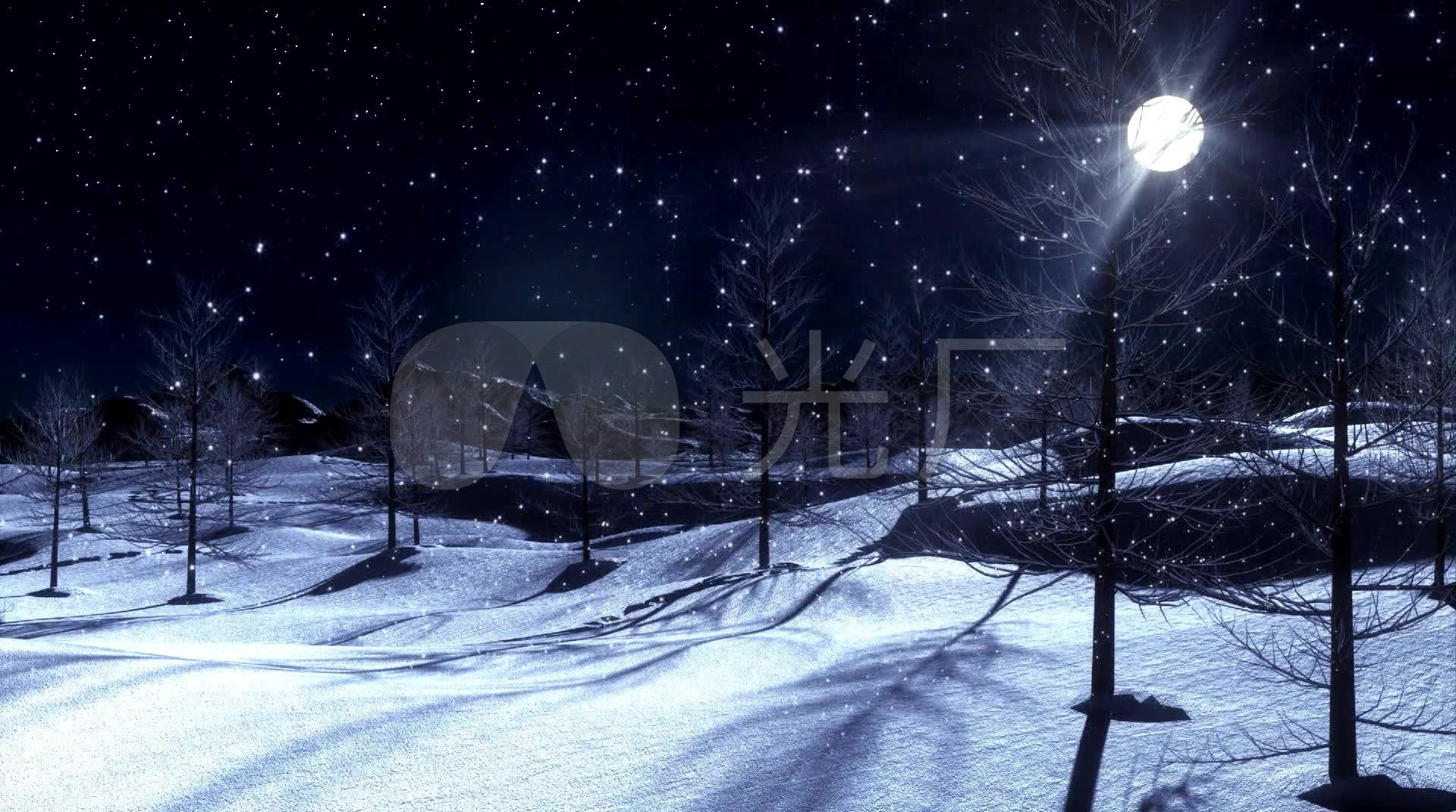 冬天夜景下雪寒冷冬夜月光树影树枝