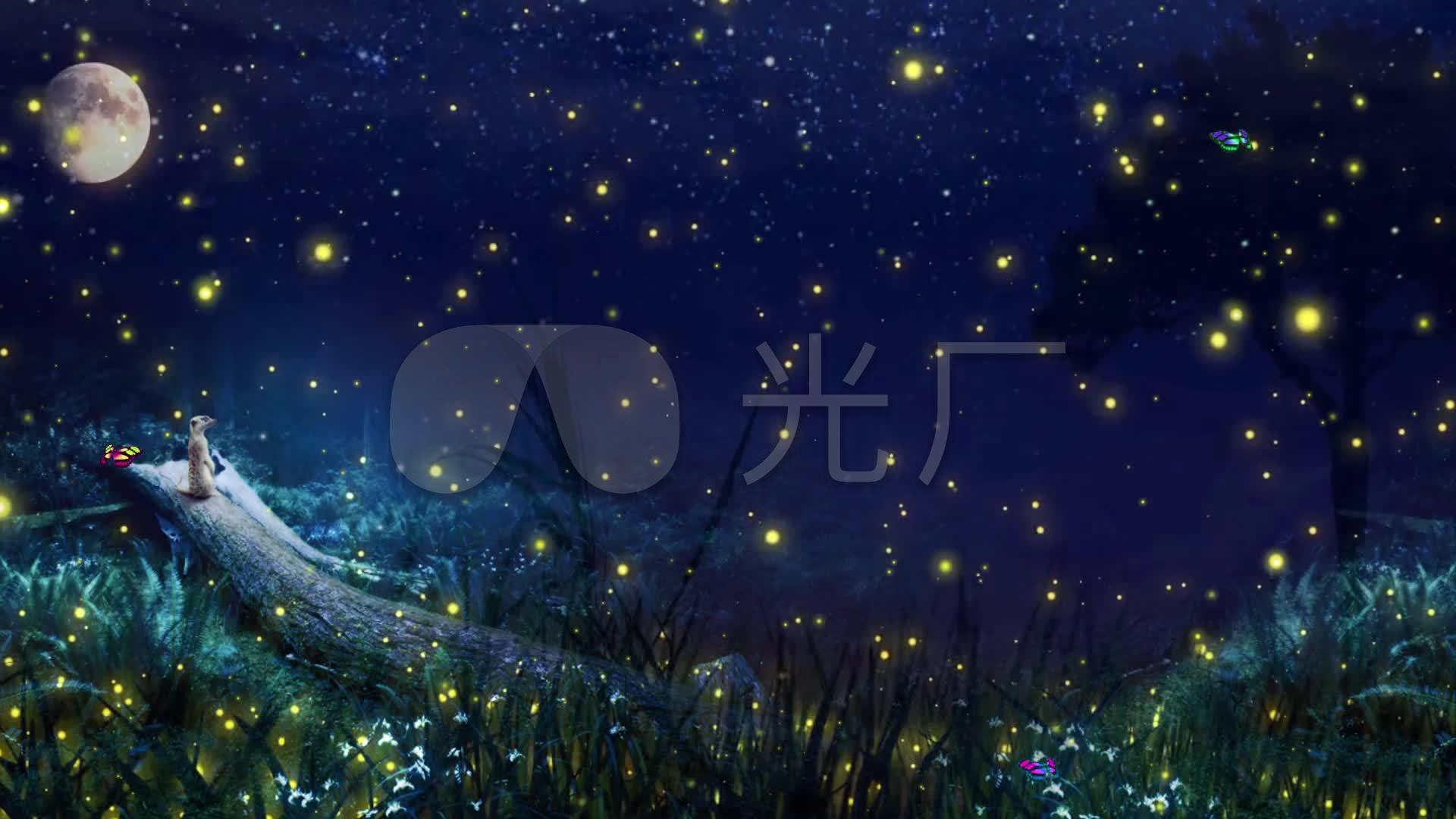 唯美森林月亮萤火虫背景_1920x1080_高清视频素材下载