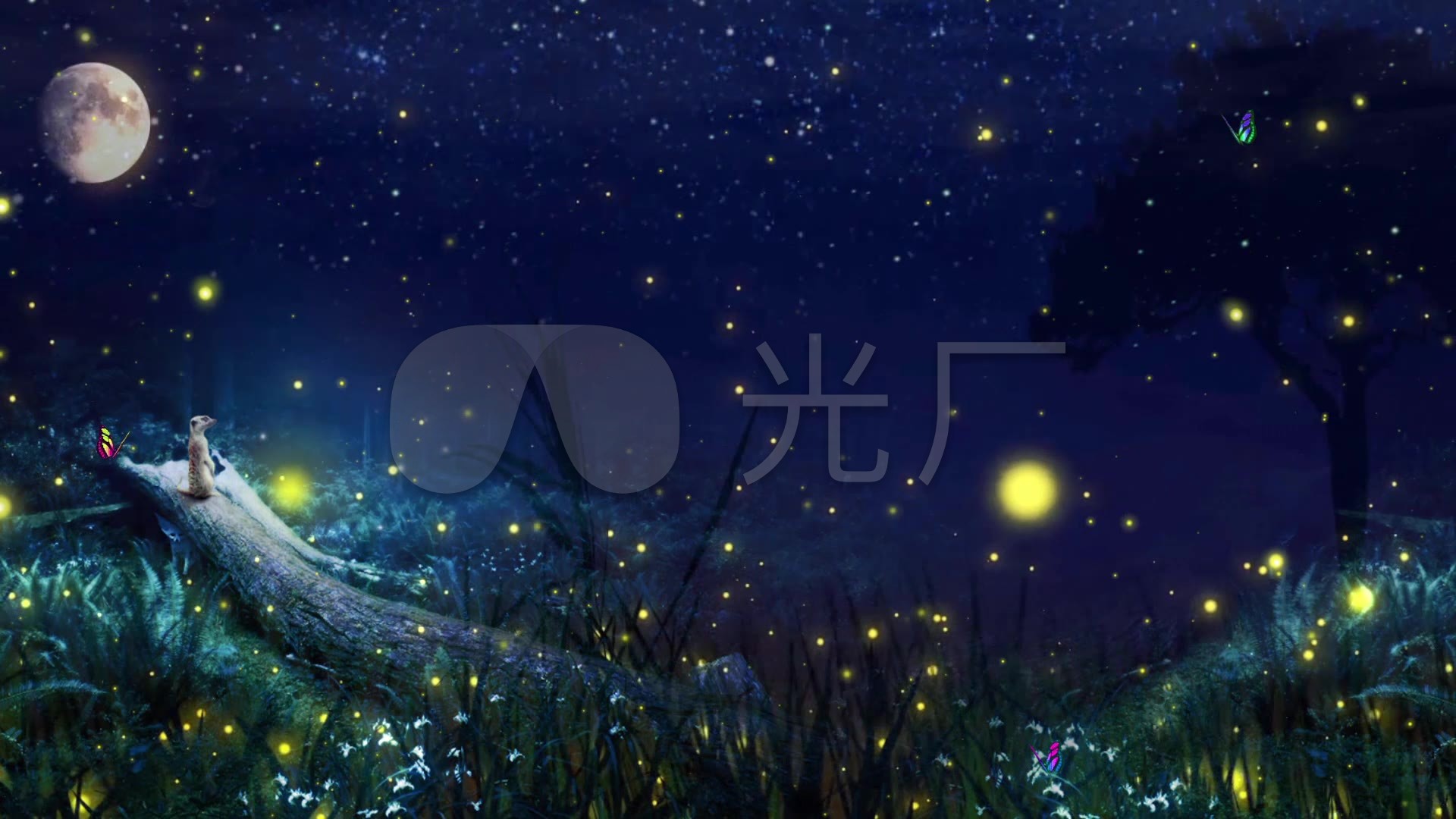唯美森林月亮萤火虫背景_1920x1080_高清视频素材下载(编号:1453478)