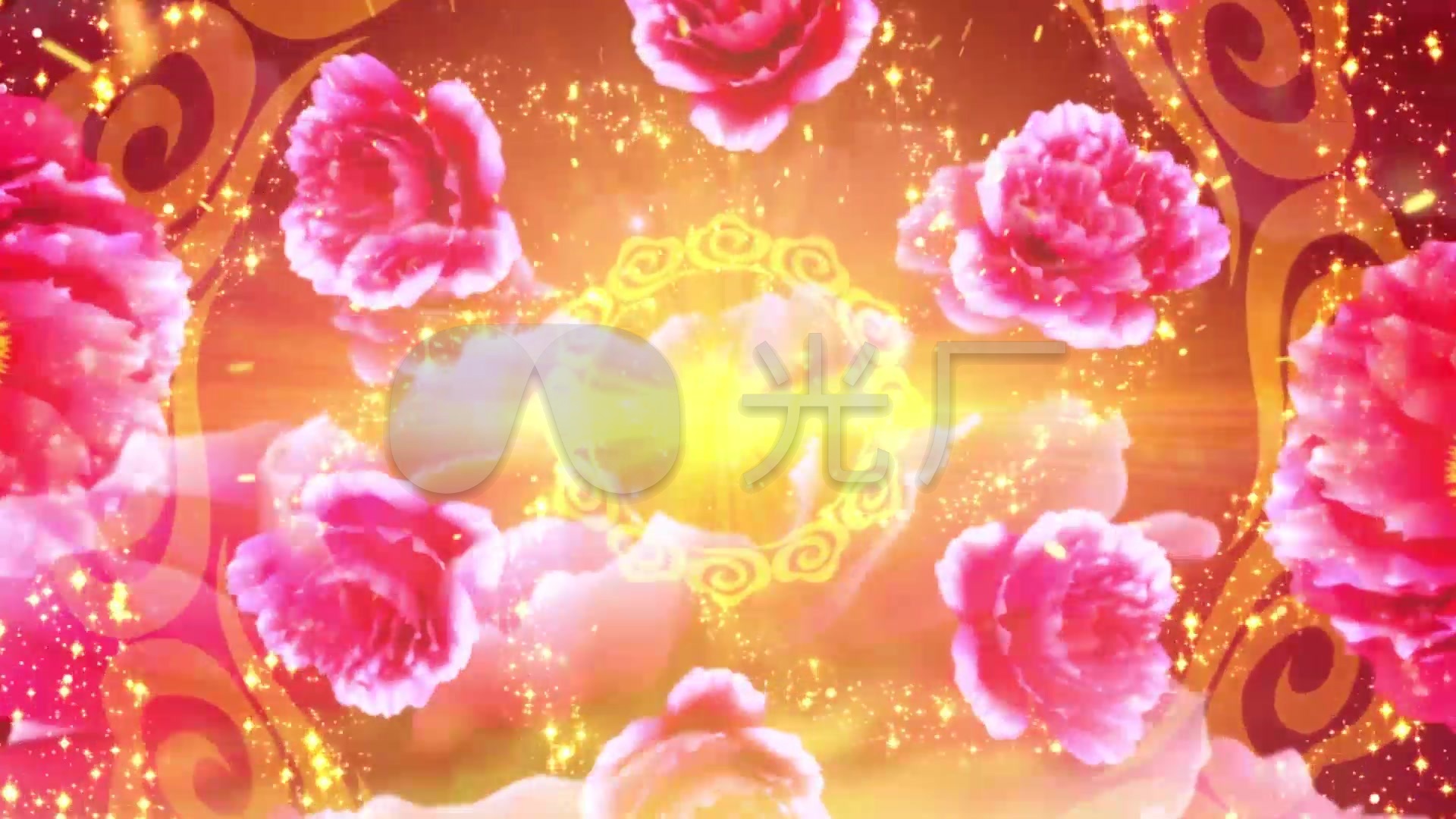好日子 牡丹花开 富贵吉祥