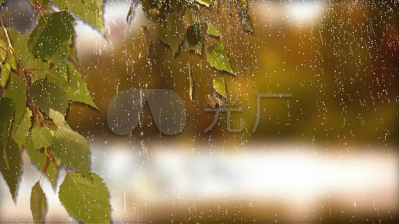 秋天的雨_1280x720_高清视频素材下载(编号:1462355)