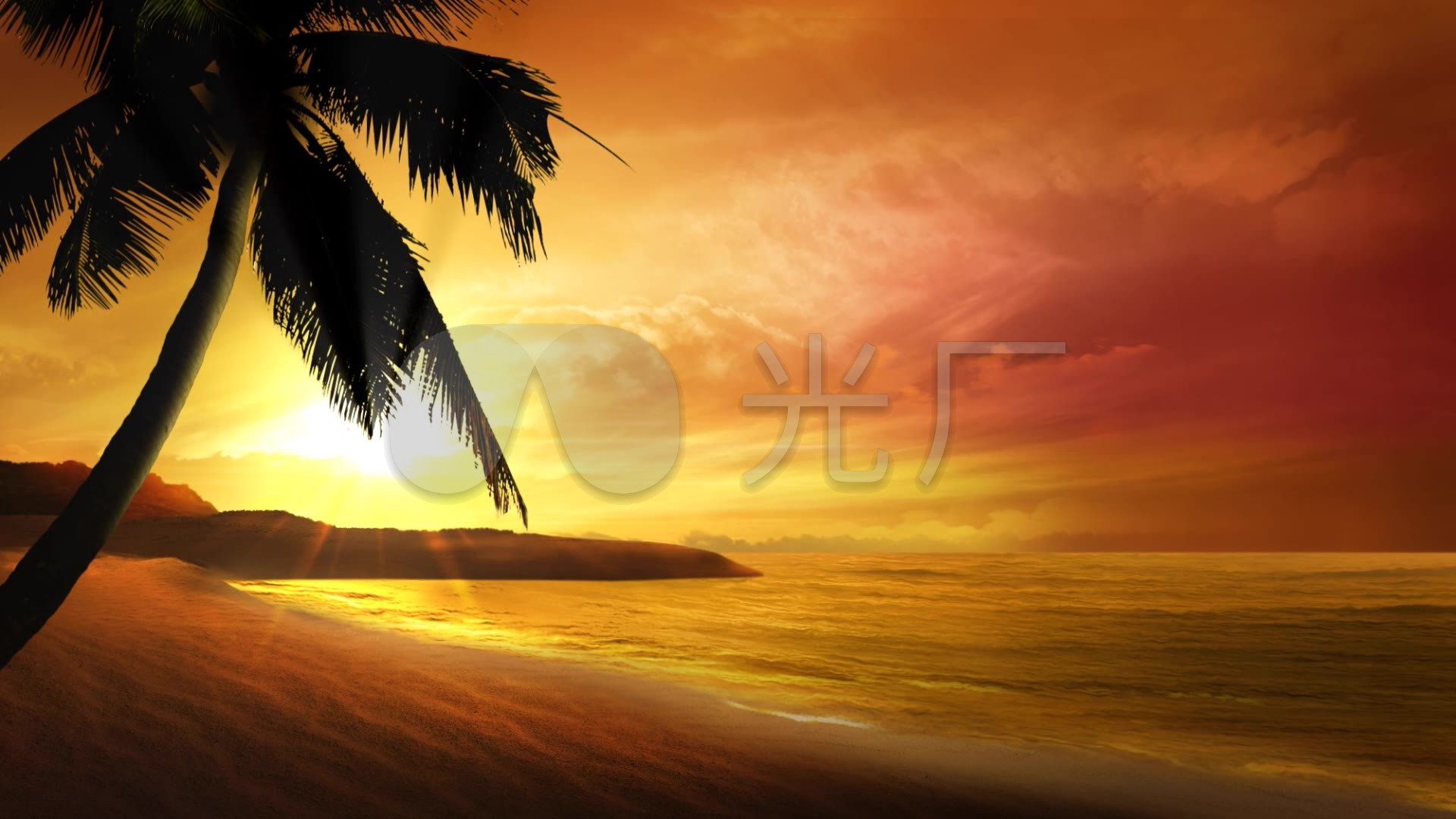 沙滩 夕阳 美景 海滩 晚霞 椰树