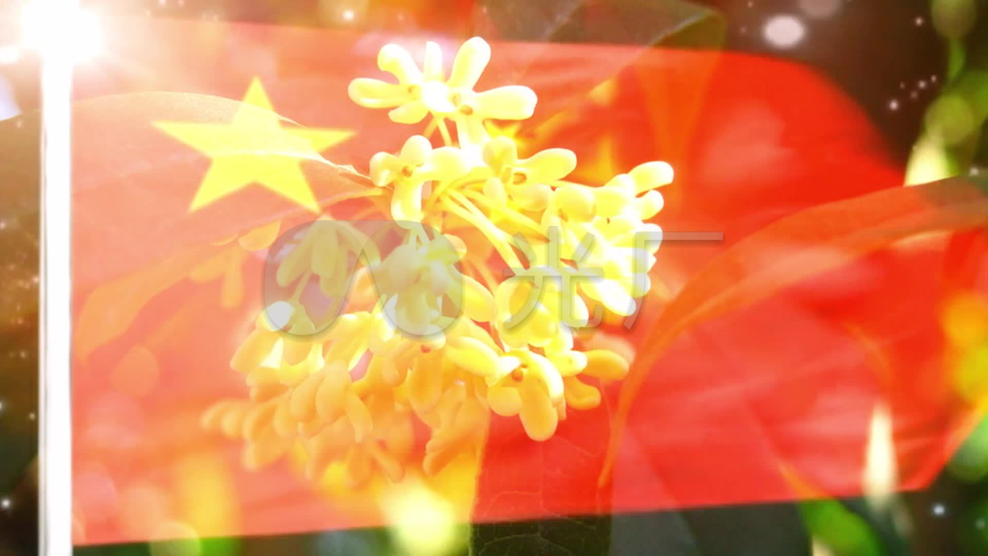 八月桂花遍地开中国人民解放军军乐团_1920x1080_高清
