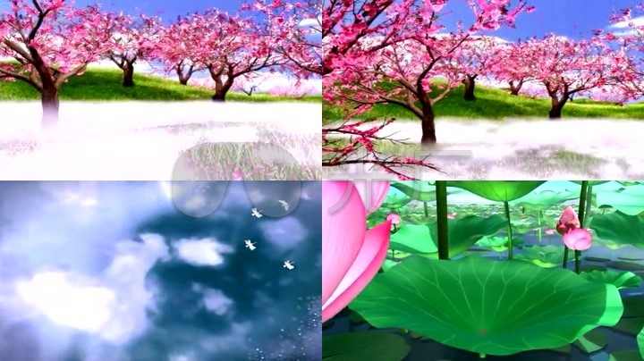 春夏秋冬四季花朵自然美丽视频素材