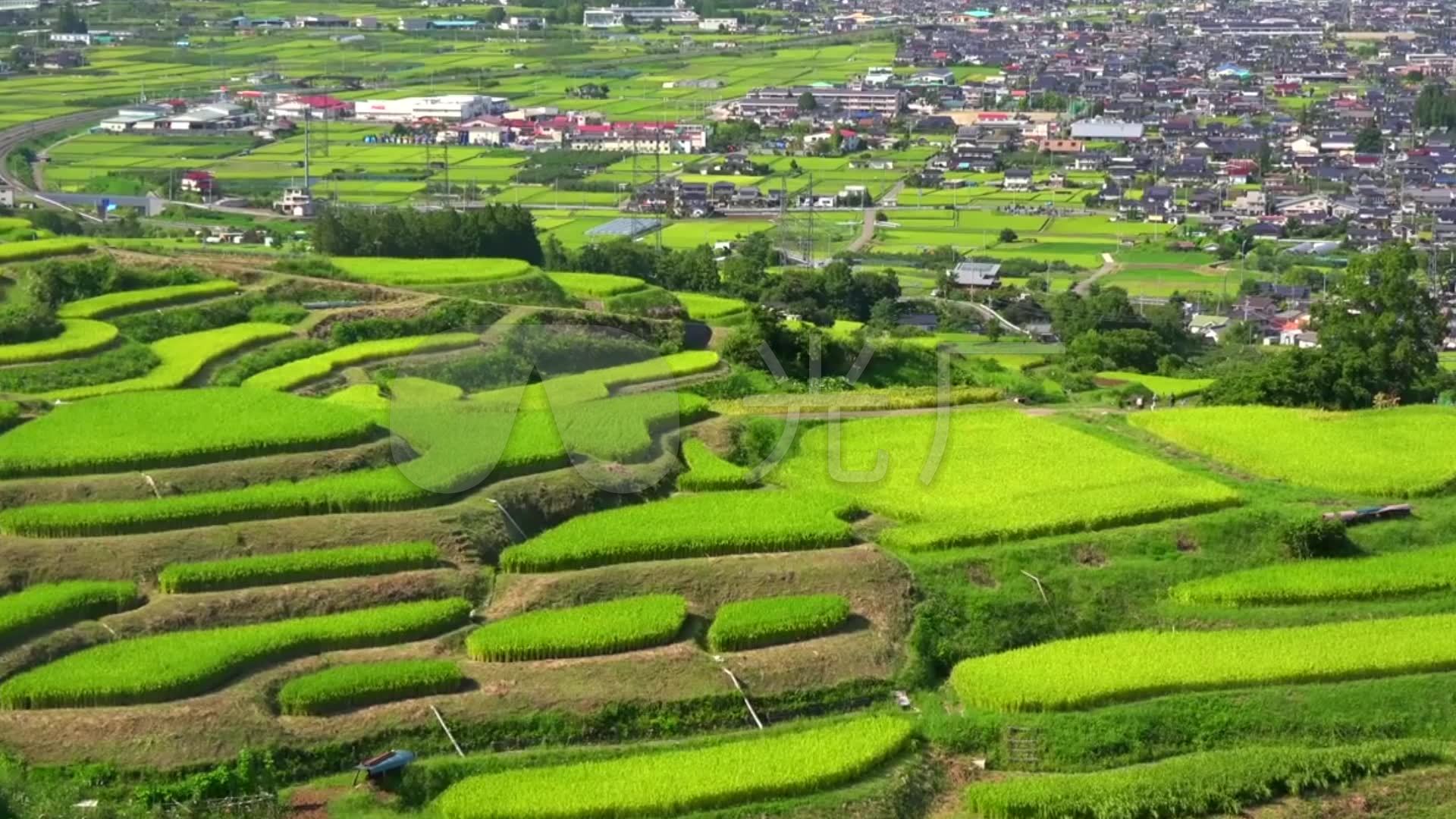 纯朴乡村美丽自然风景视频素材