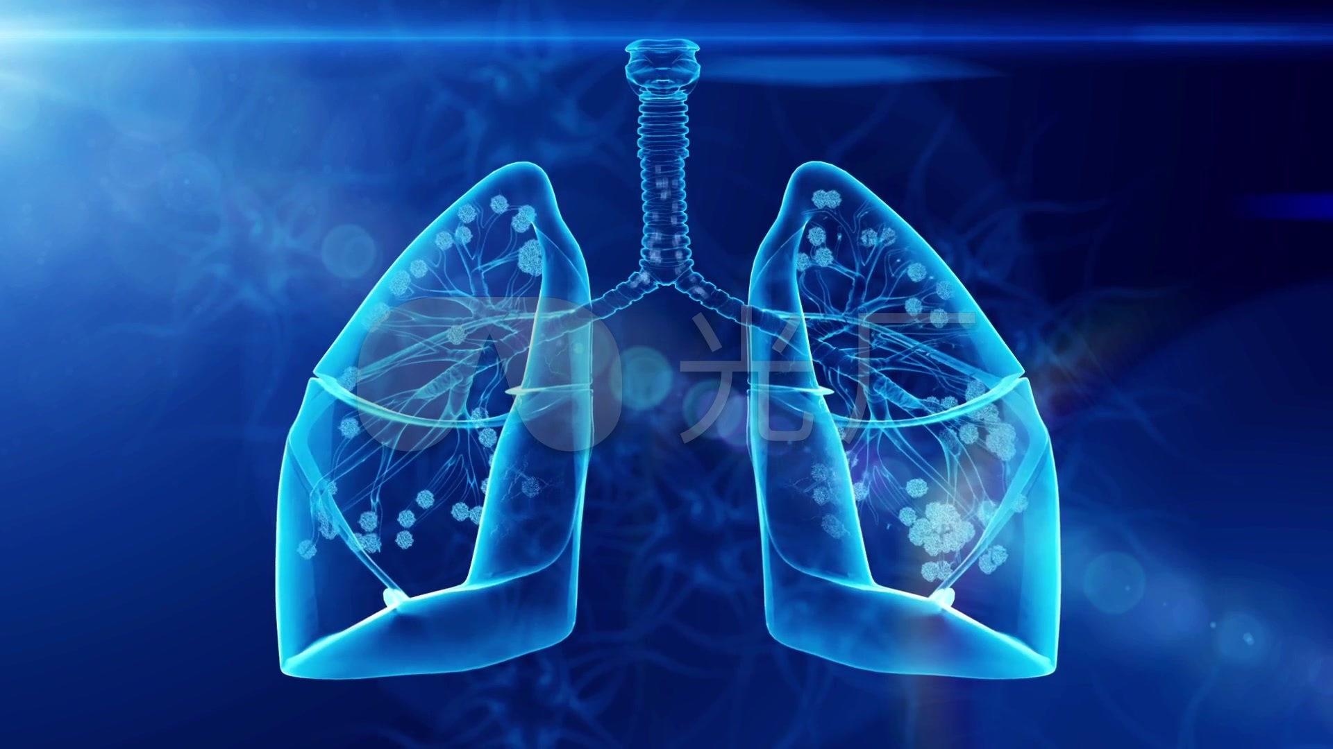 肺部呼吸肺炎—肺部机理动画