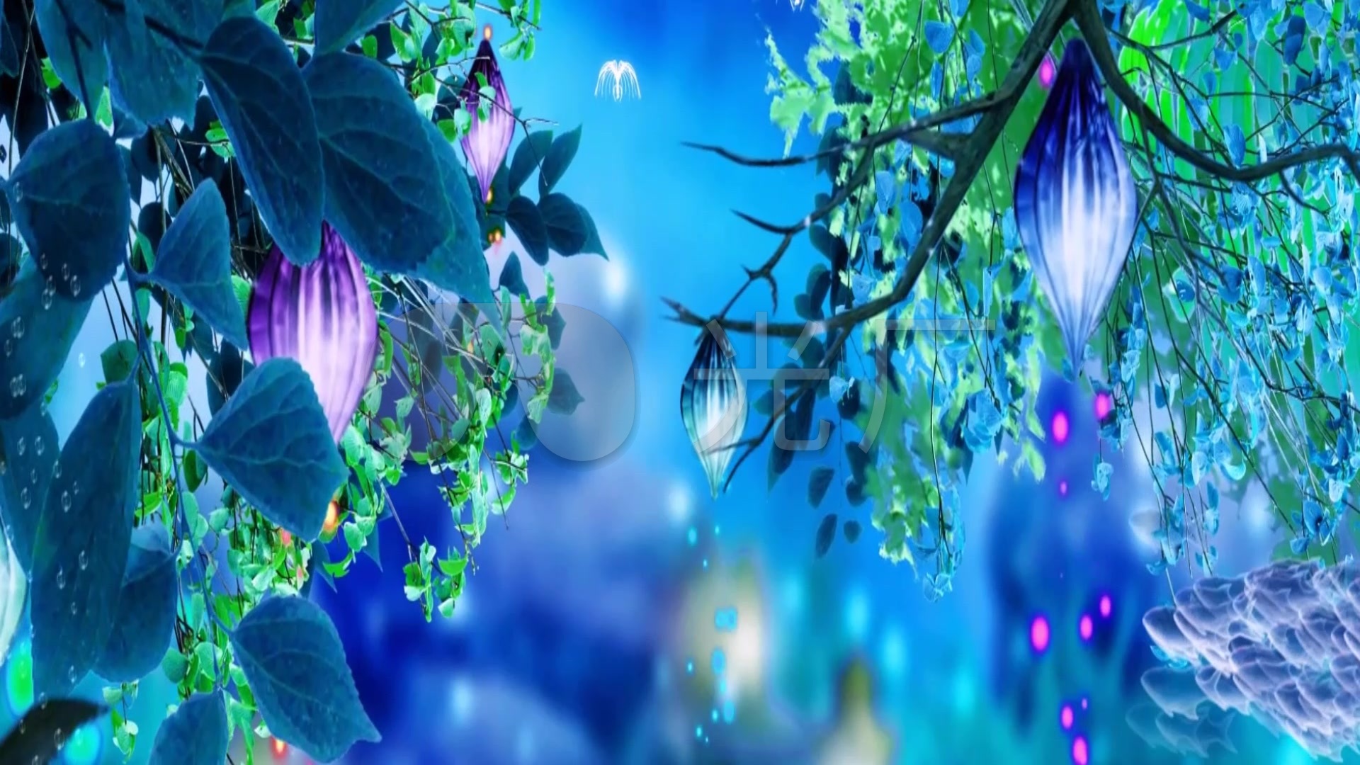 海底世界 鱼 梦幻 唯美 动画1