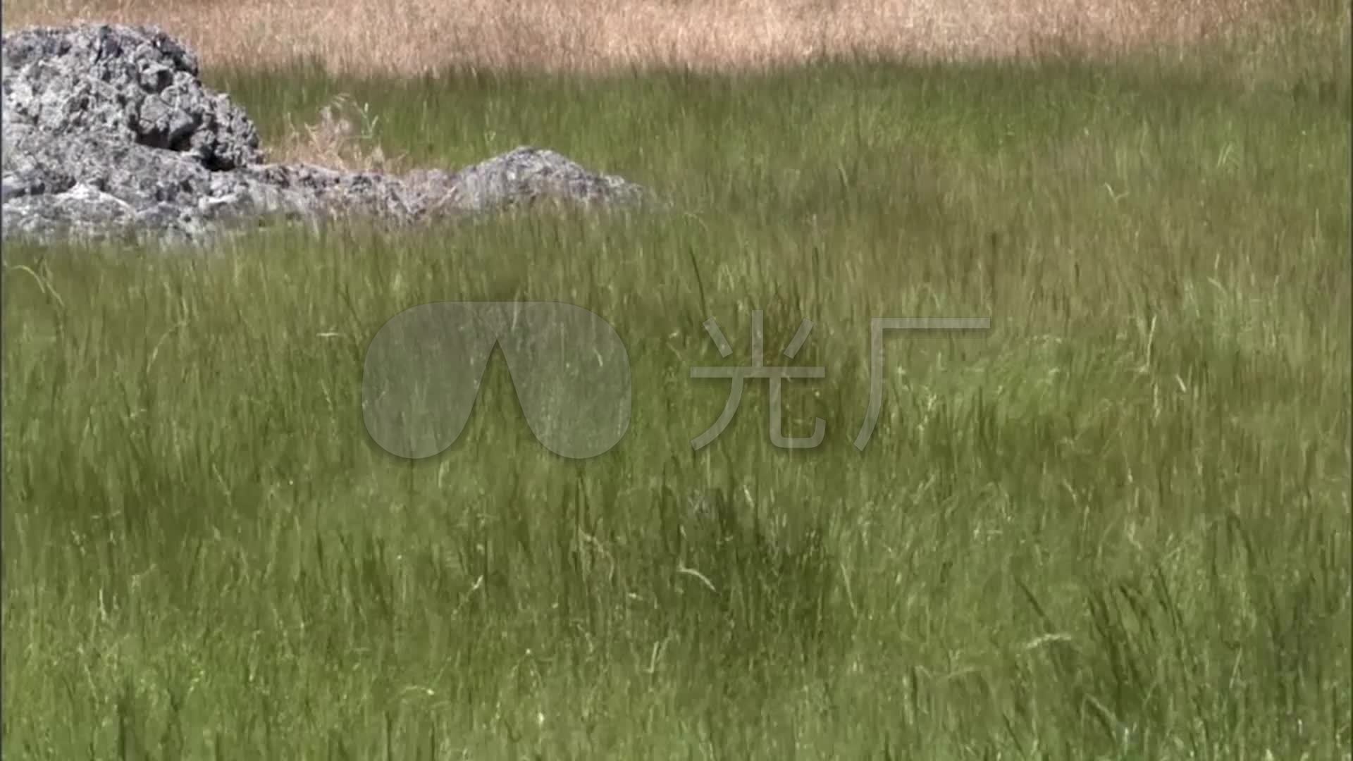 来自视频原始文件或预览原始文件的1:1截图,移动鼠标检查画质 / 键盘