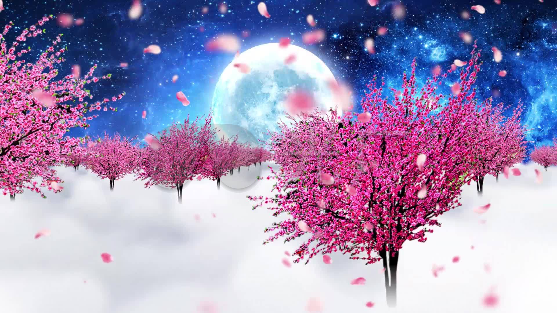 1920x1080高清壁纸横屏,1920x1080高清壁纸原图 梦幻桃花粒子50秒带花瓣横屏_1920x1080_高清视频素材
