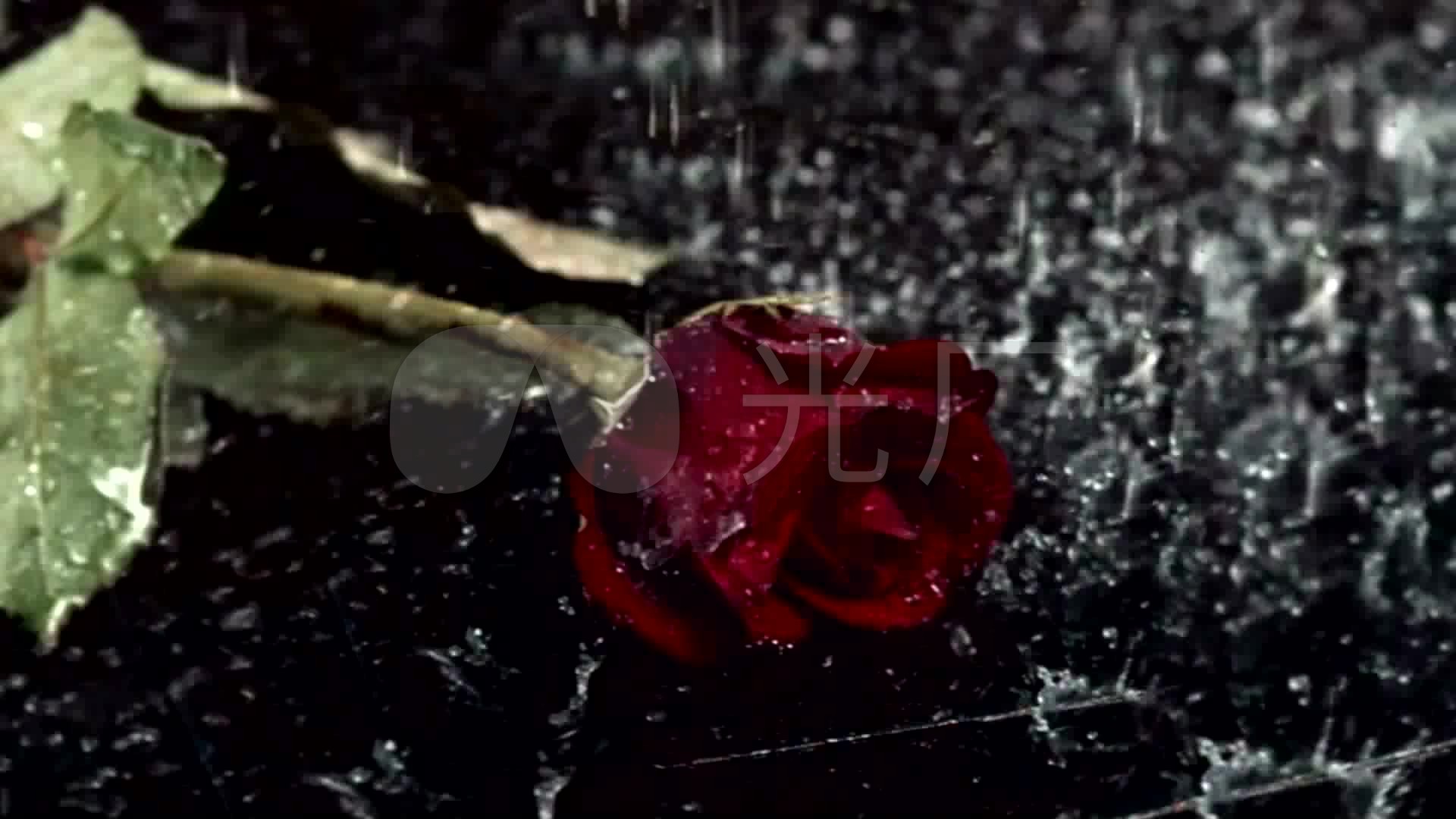 下雨雨滴悲伤红玫瑰玫瑰凋谢舞台背景_1920x1080_高清
