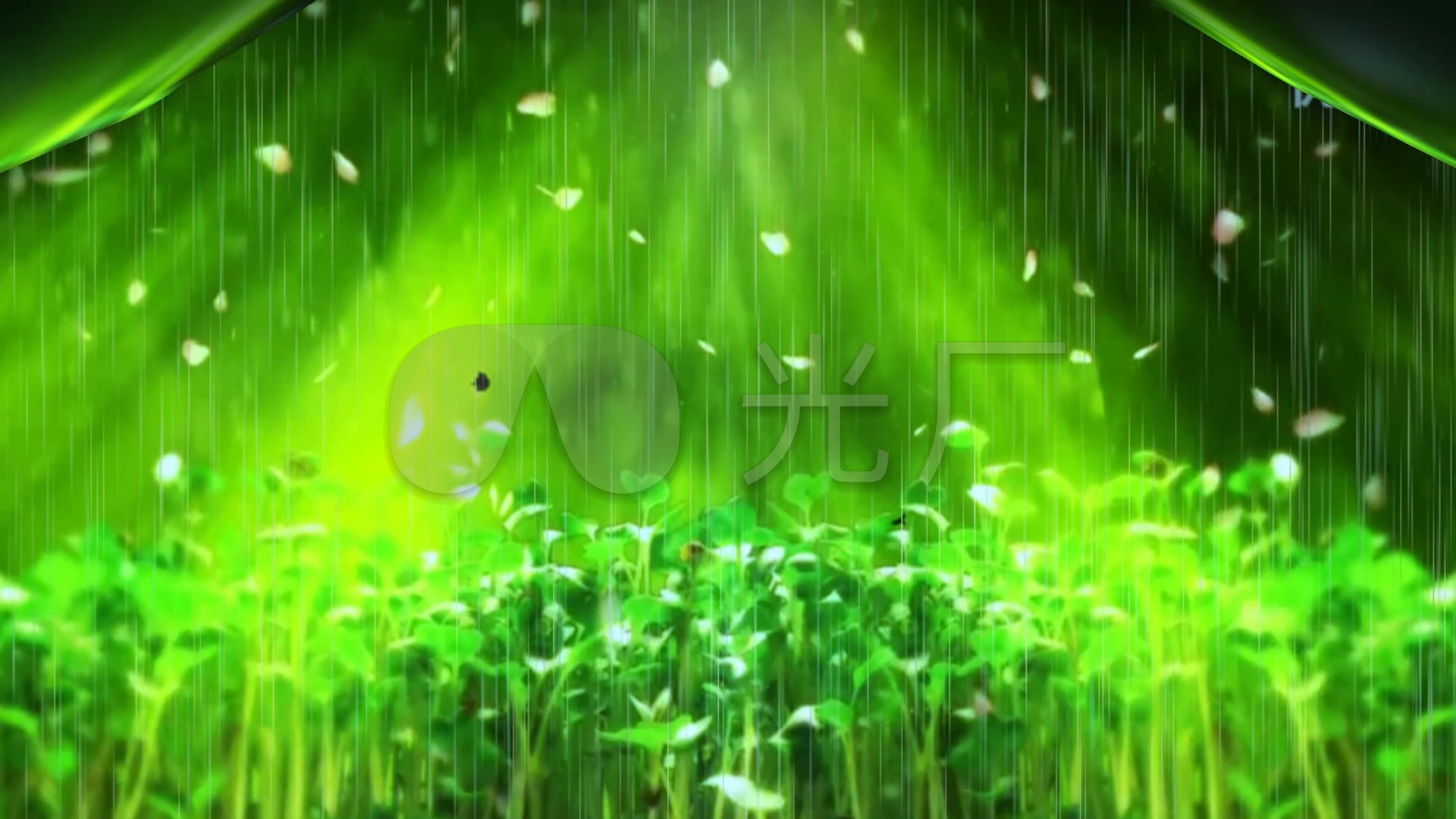 春天春雨植物发芽光线背景_1920x1080_高清视频素材