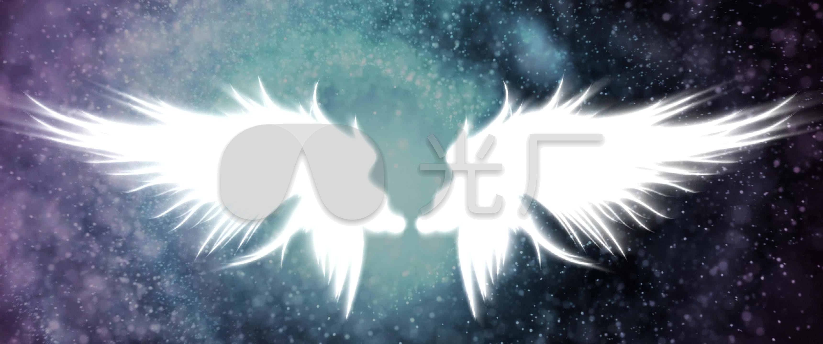 天使翅膀1_3440x1440_高清视频素材下载(编号:1570972