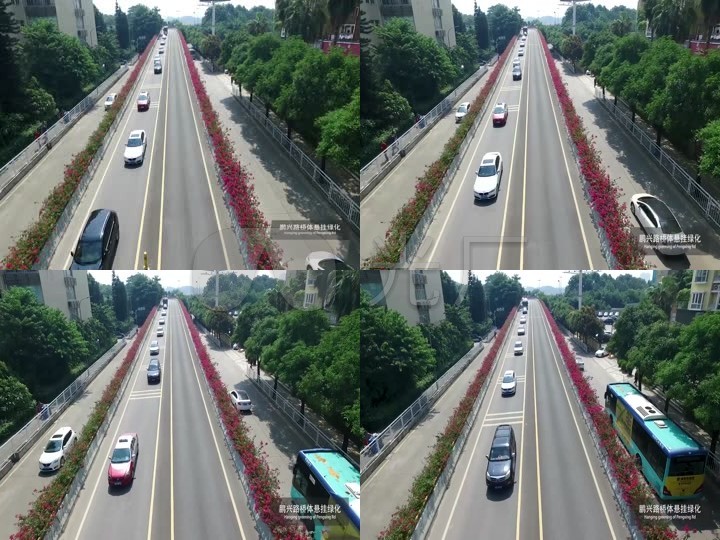 深圳一线城市城市道路鹏兴体悬挂绿化绿化车辆深圳航拍