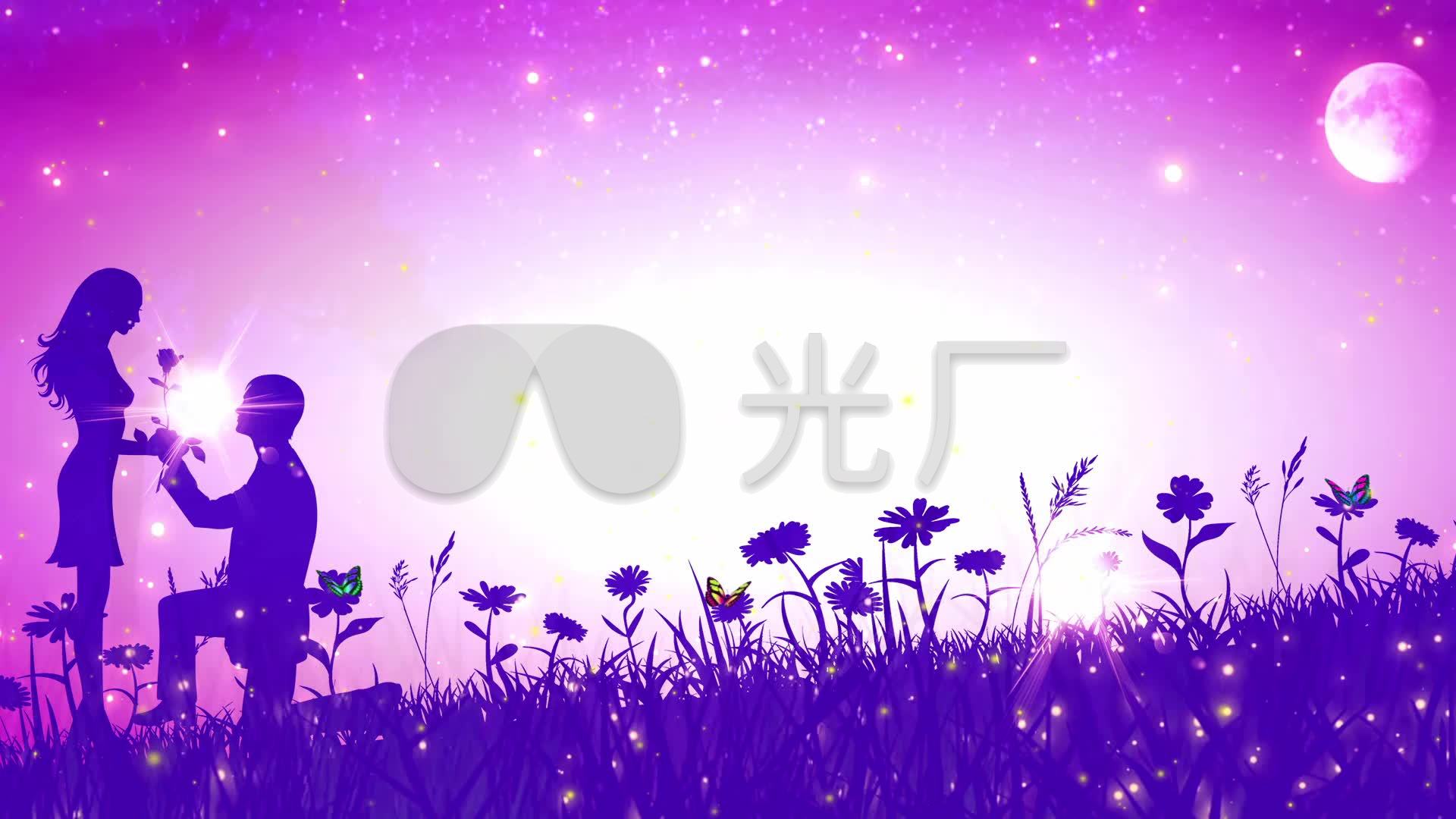 视频素材 婚庆节日 节日庆典 浪漫星空月亮萤火虫求婚表白婚礼背景