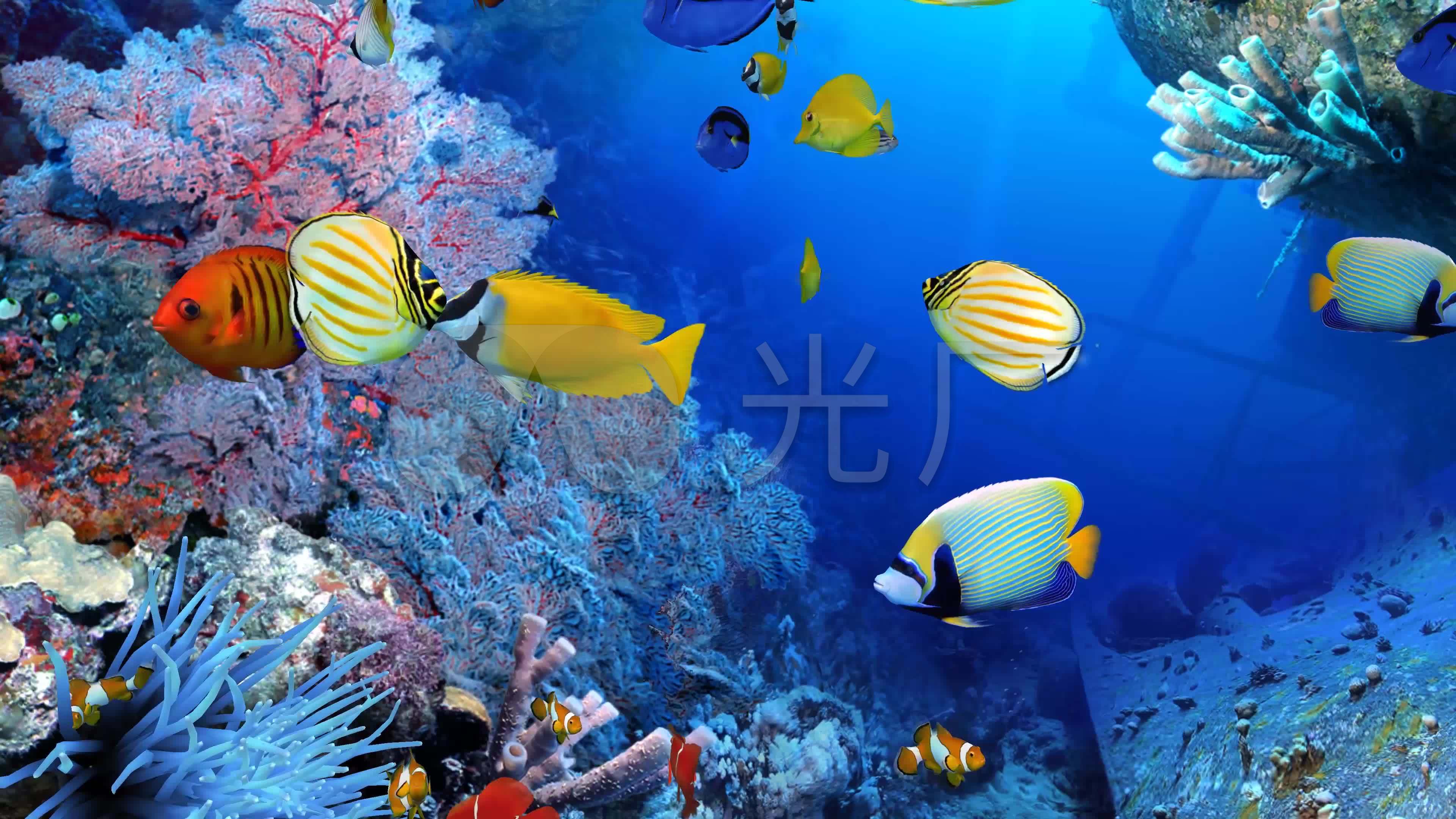 4k三维3d海底世界水族馆海洋海底鱼群_3840x2160_高清视频素材下载