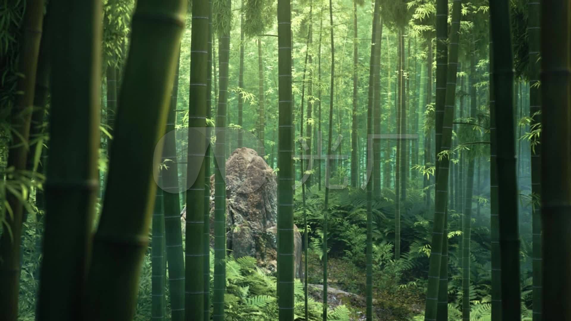 中国风竹林仙鹤_1920x1080_高清视频素材下载(编号:)