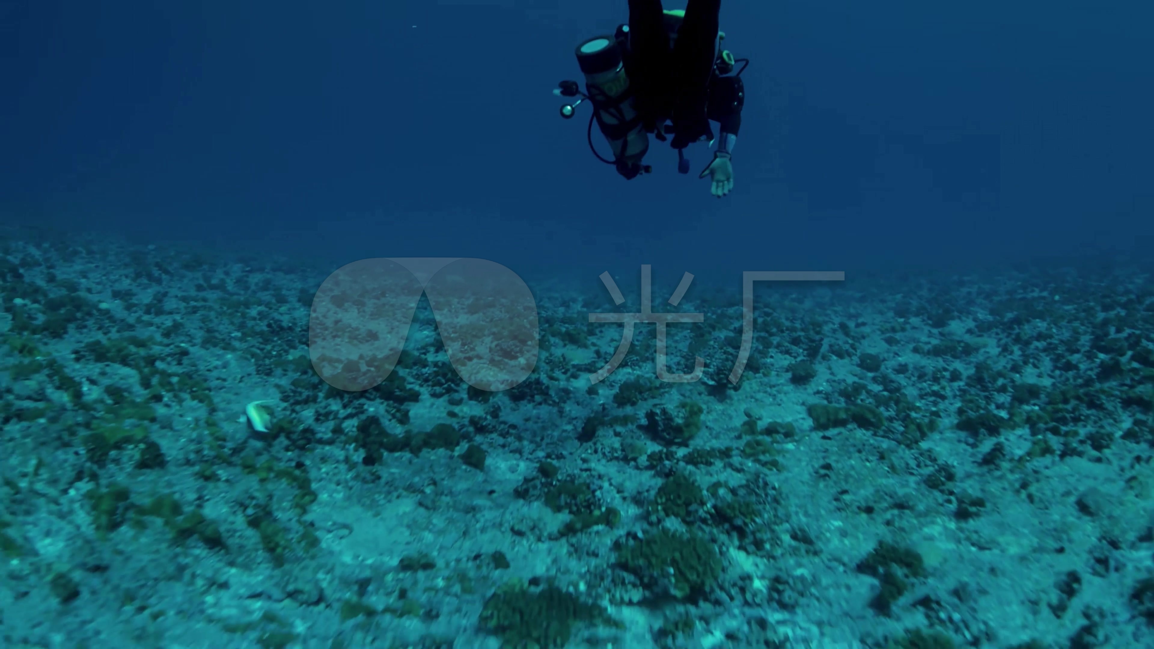 4k海洋生物学家潜水运动海洋深海潜水_3840x2160_高清视频素材下载