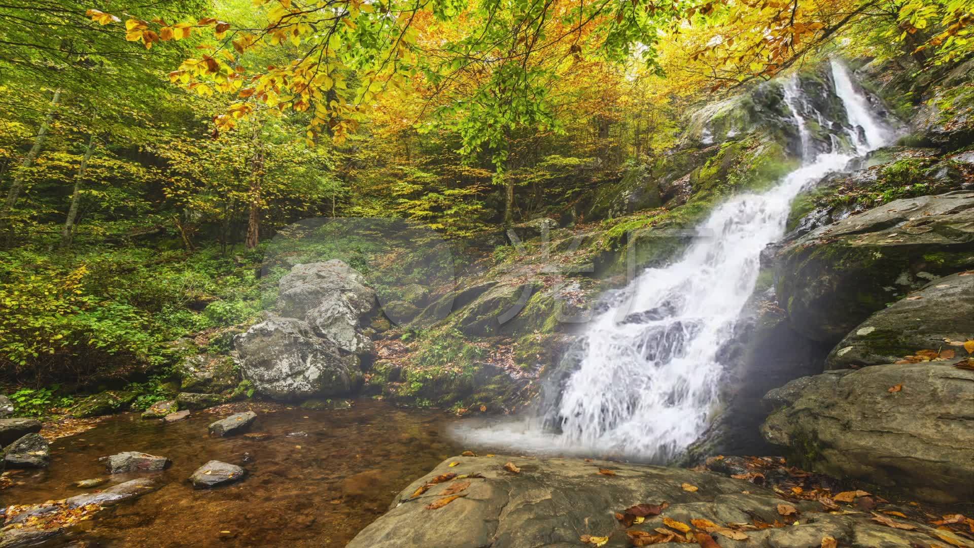 高山流水瀑布枫叶秋季风景