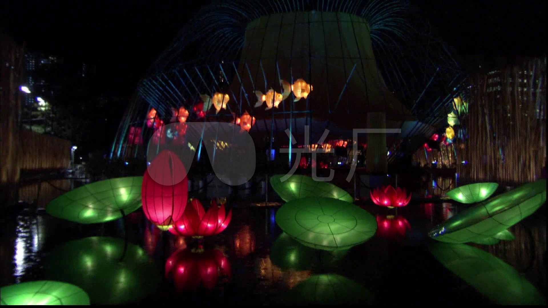 视频素材 实拍视频 景观人文 中秋节荷花绿叶红灯笼灯展夜晚高清素材