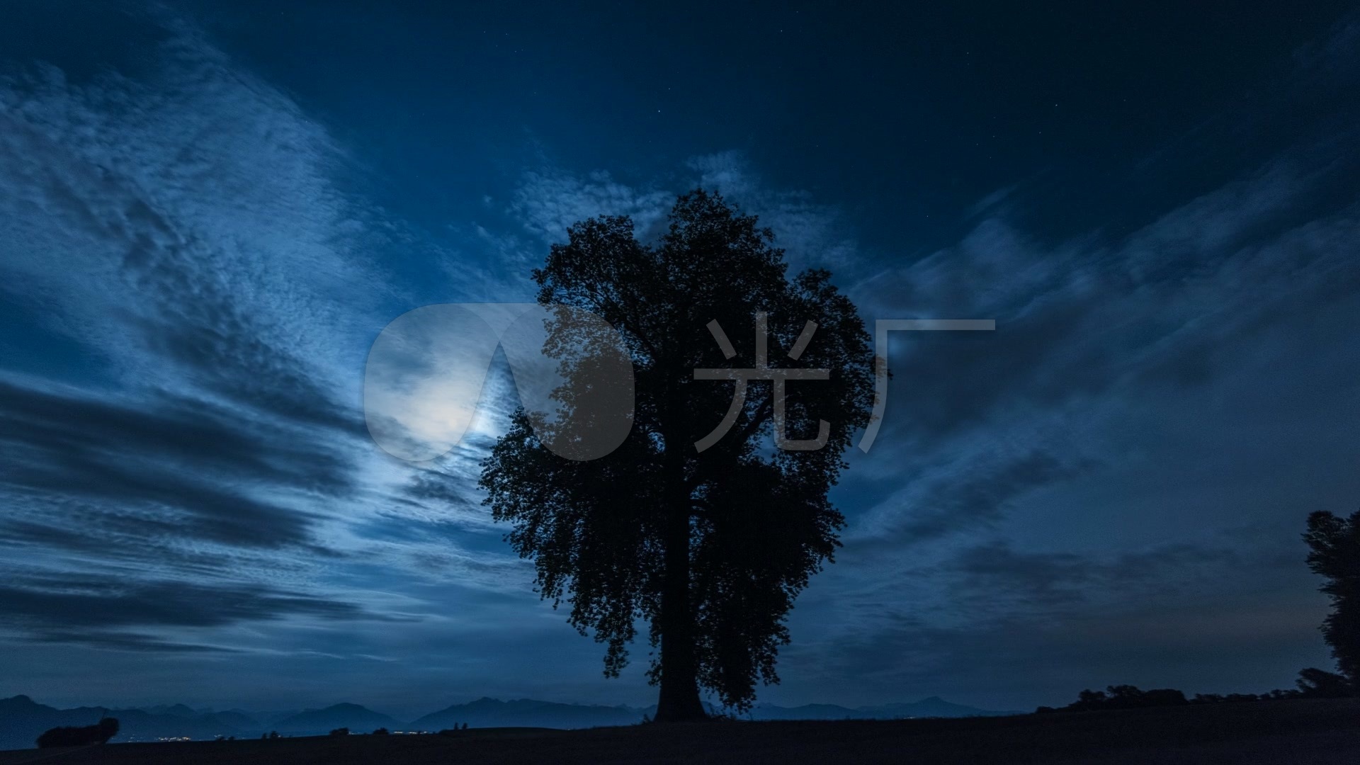 八月满月夜晚中的孤独树影_1920x1080_高清视频素材