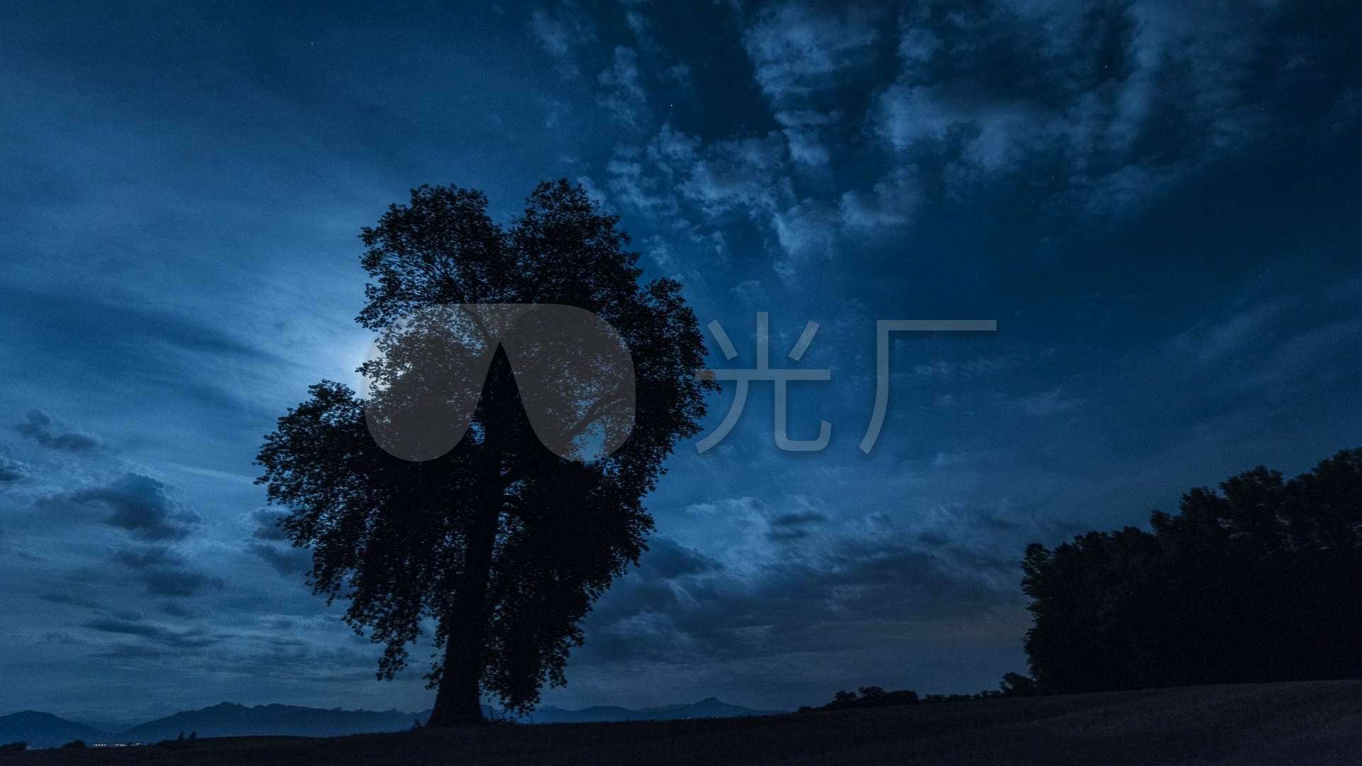 八月满月夜晚中的孤独树影_1920x1080_高清视频素材