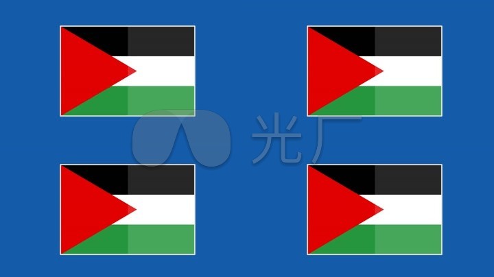 国旗-巴勒斯坦(mg动画蓝屏抠图)