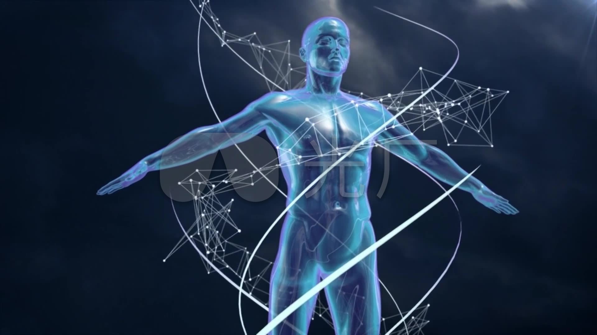人体三维模型动画_3d科技感医学医疗视频_1920x1080_高清视频素材下载