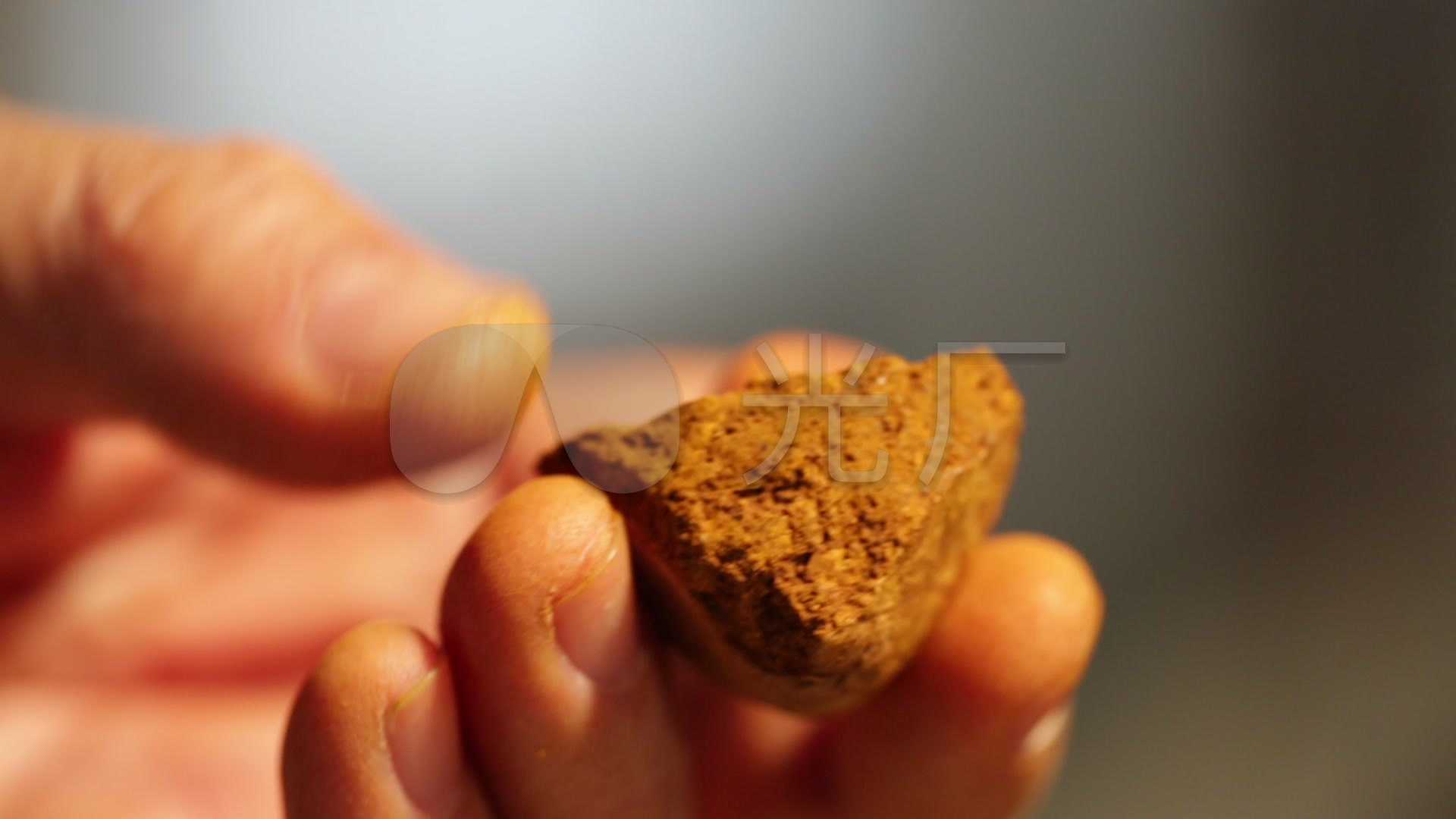 细料库同仁堂牛黄天然牛黄牛黄鉴别