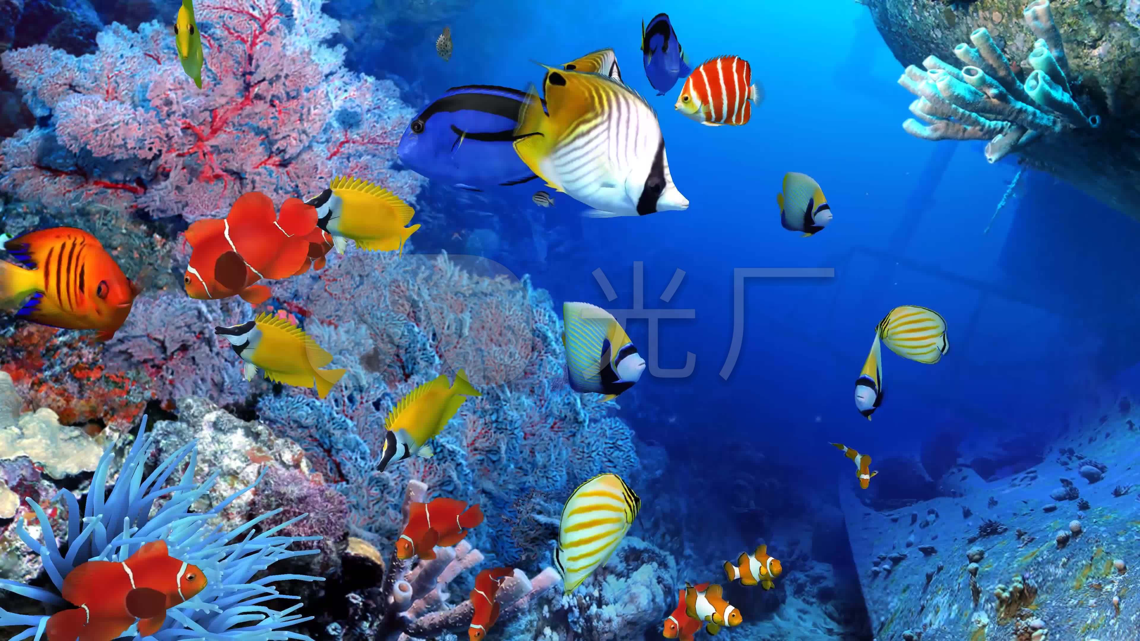 3840x2160,3840x2160壁纸 4k三维3d海底世界水族馆海洋海底鱼群_3840x2160_高清