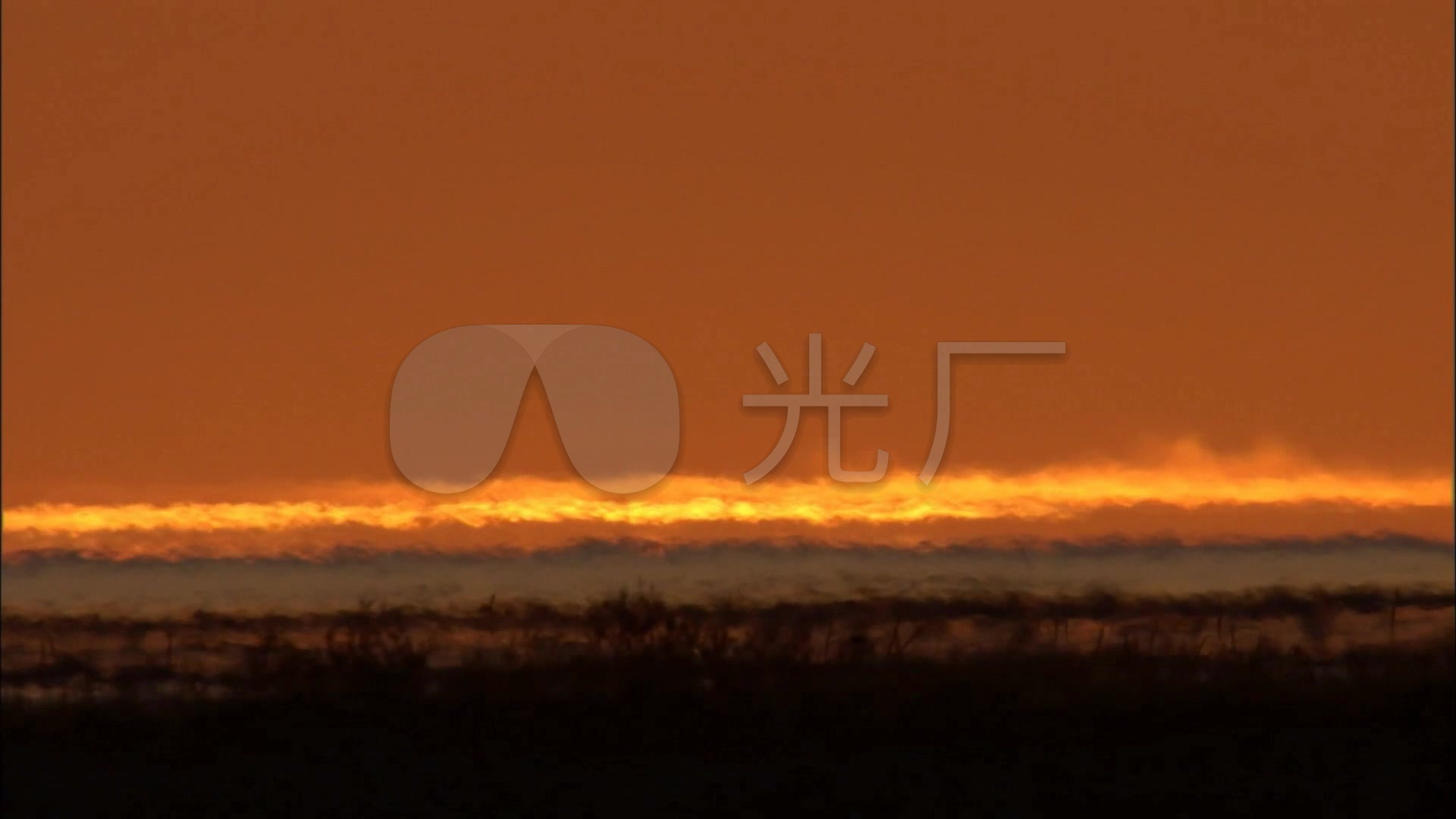 夕阳 太阳 红霞 火烧云 草丛 动物