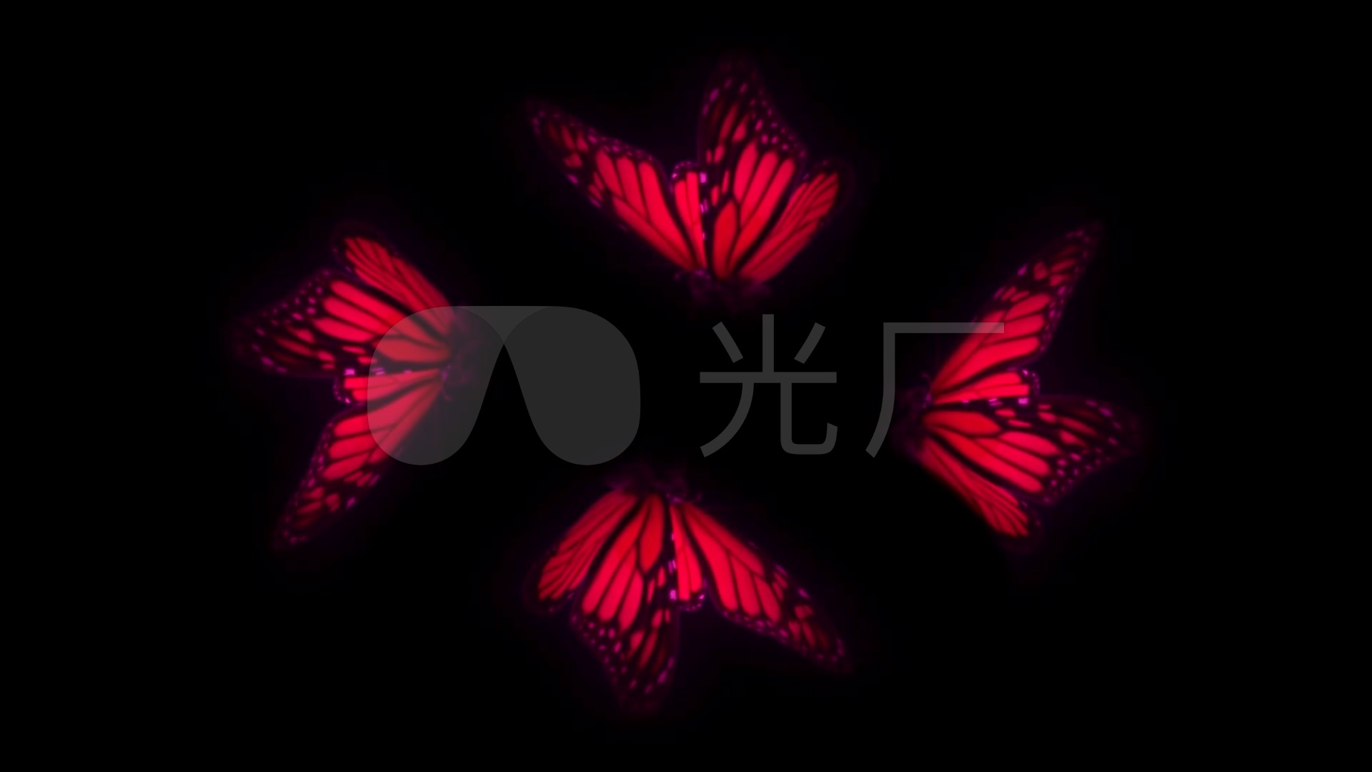 蝴蝶飞舞360°全息投影视频素材