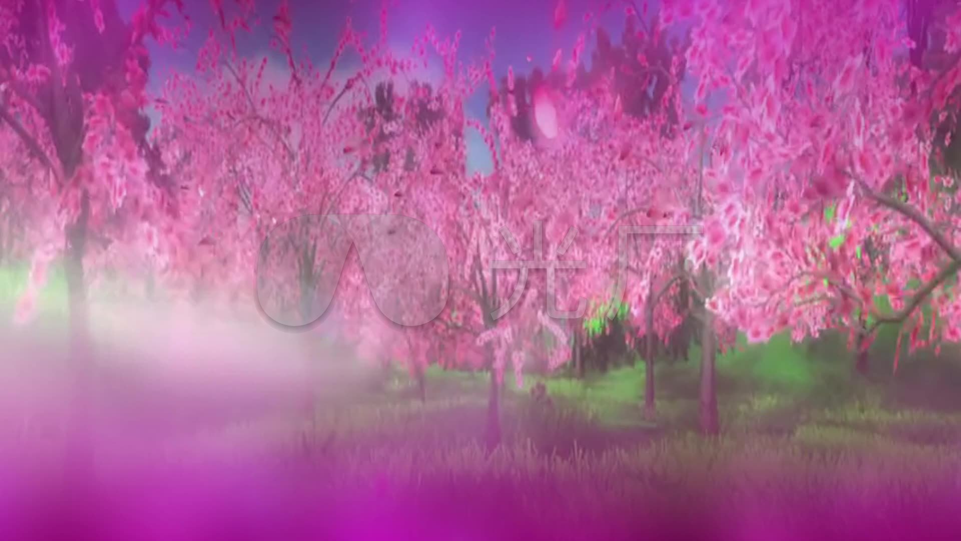 唯美仙境十里桃花花瓣高清视频