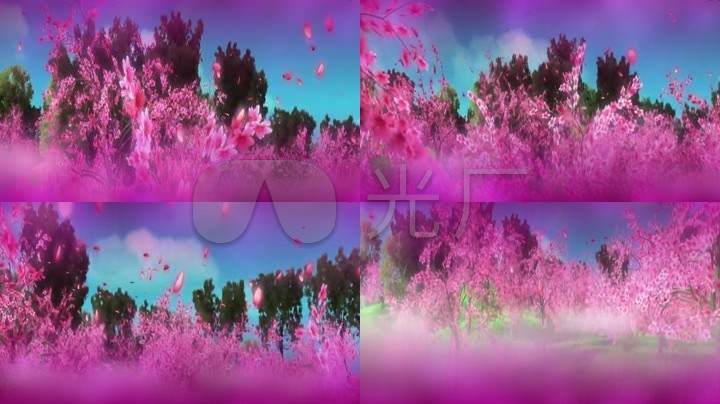 唯美仙境十里桃花花瓣高清视频
