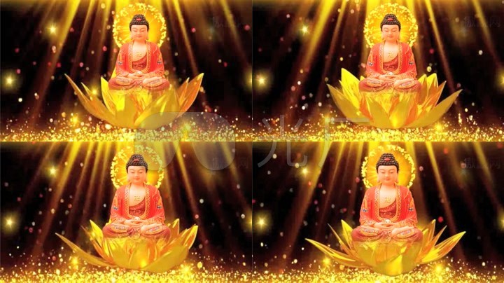 大莲花佛光阿弥陀佛辉煌