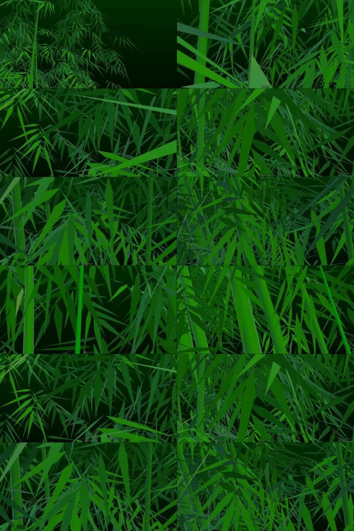 翠绿的竹子竹子竹叶竹子旋转竹竹子素材