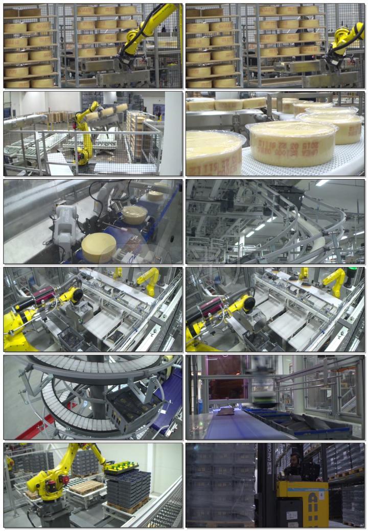 奶酪食品工厂机器人作业自动化工业