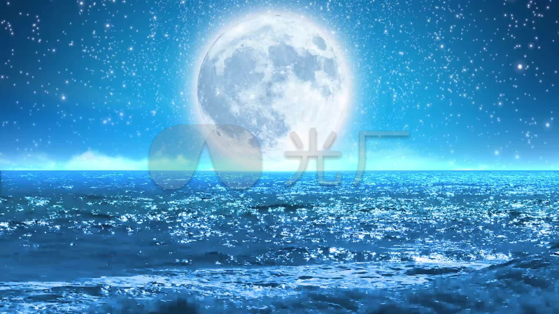 大海月亮11