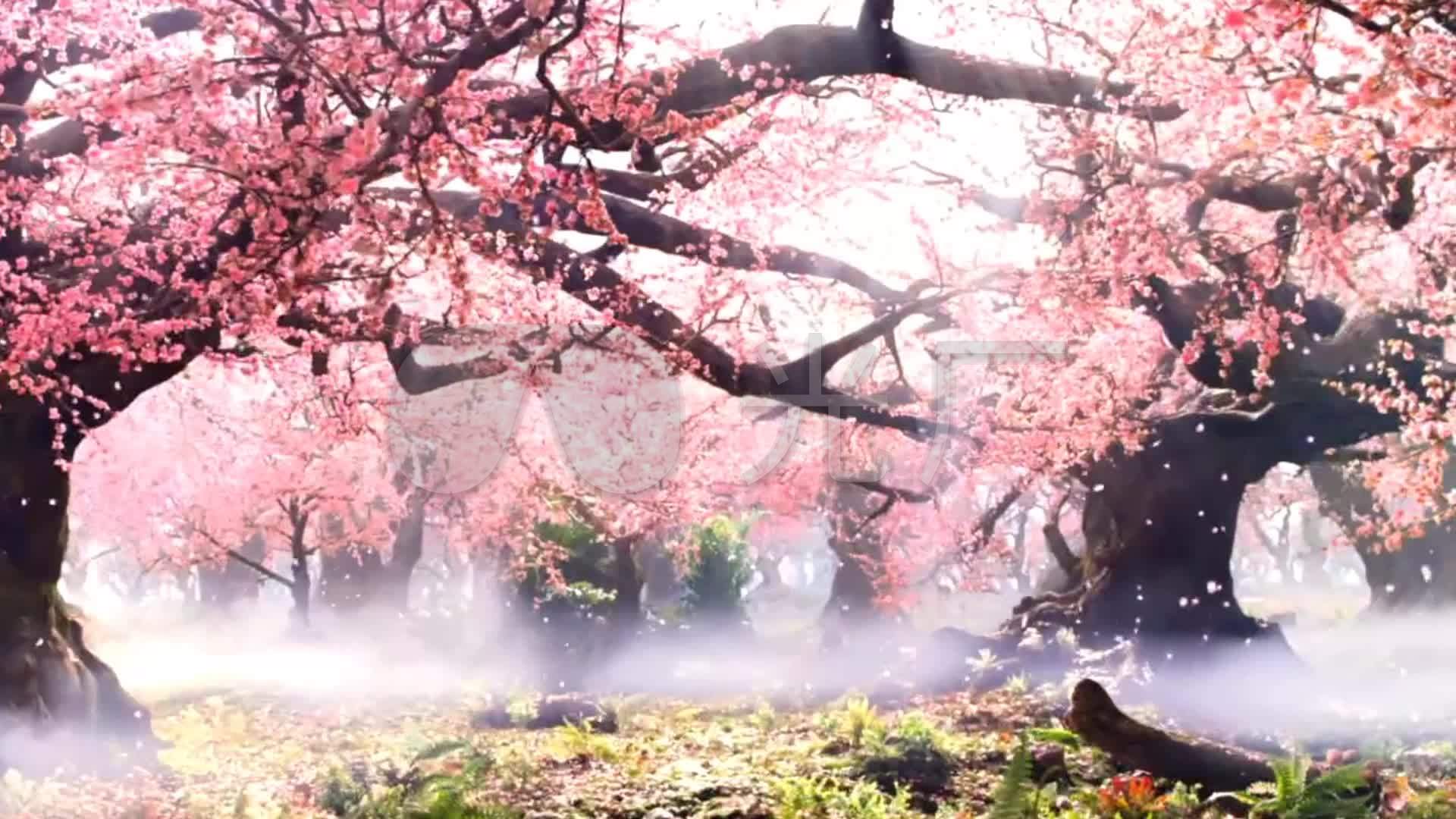 桃林花瓣纷飞轻舞飘落鸟语花香空镜头素材_1920x1080
