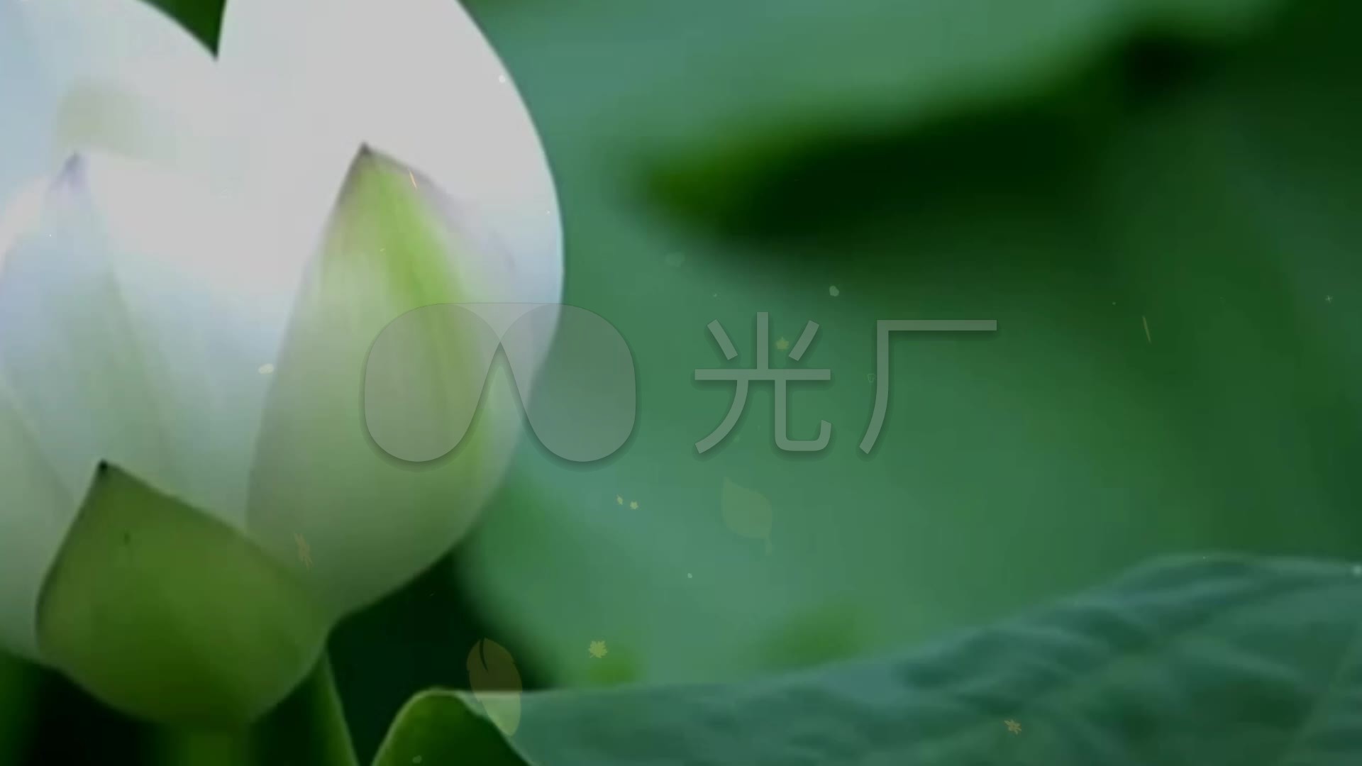 美丽的泸沽湖葫芦丝纯音乐朗诵背景视频_192