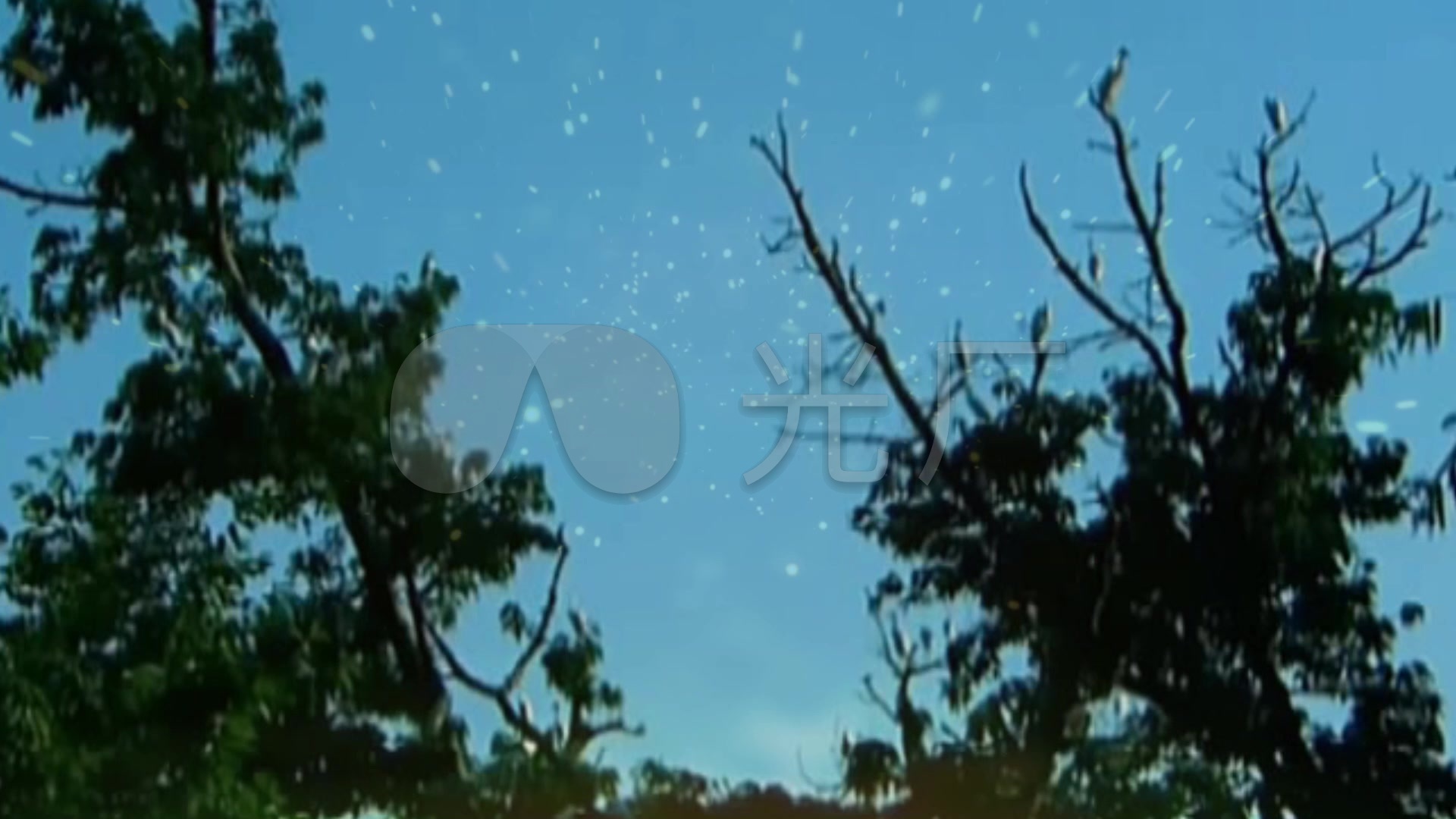 美丽的泸沽湖葫芦丝纯音乐朗诵背景视频_192