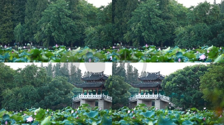 西湖风光实拍杭州江南